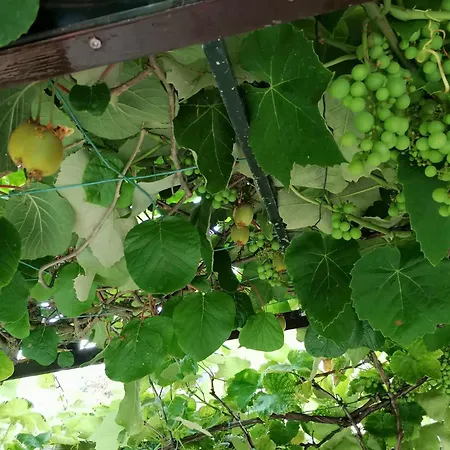 Huis Rochelle Bredene